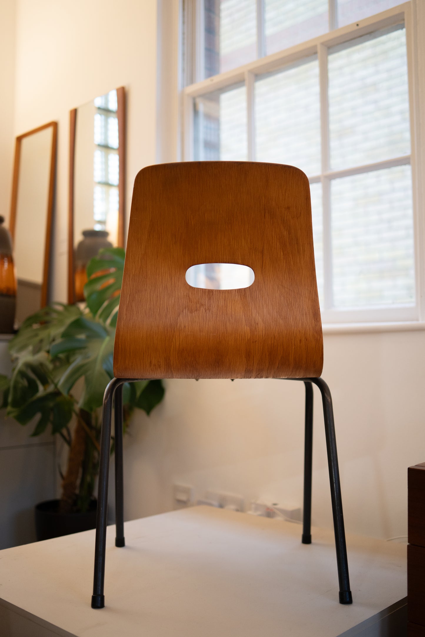Q Cherrywood Q stack chairs by Robin Day for Hille, (1953) UK