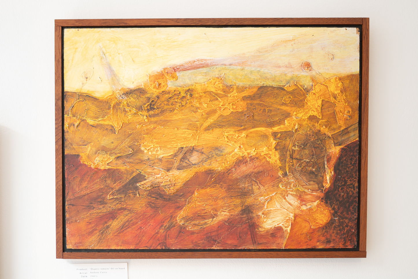 Oil painting by Anthony Curtis - 'Organic Remains' (1960s) UK (Copy)