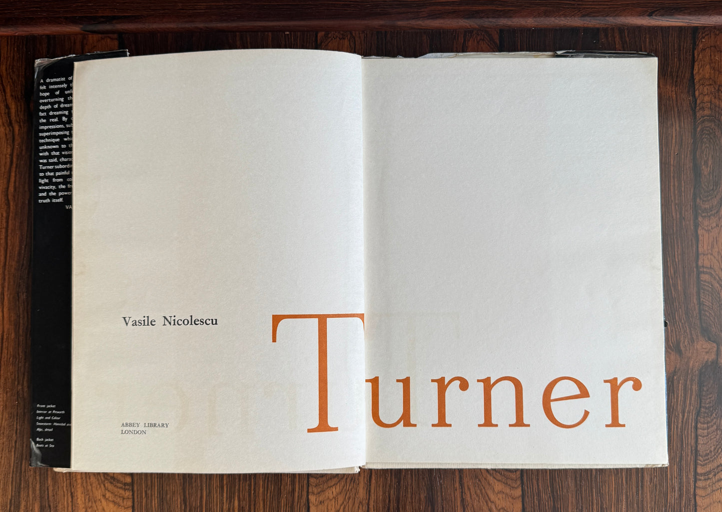 Turner by Vasile Nicolescu