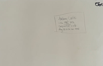 Over painted screen print by Anthony Curtis 1970s in frame
